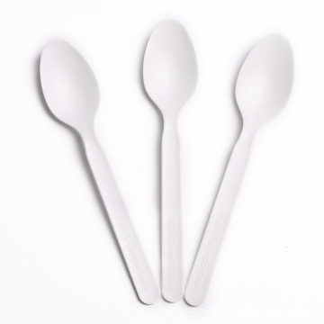 New arrival Composable Biodegradable Black CPLA Spoon 7"  in USA/European Market